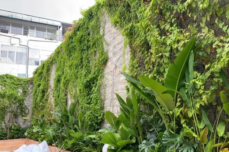 Cà phê sân vườn 7 Bản sao của b06dbd8d425fc801914e