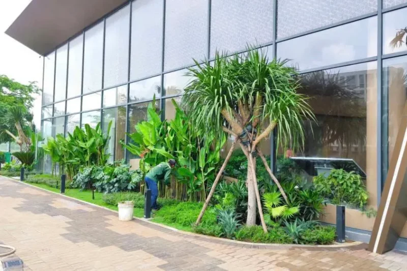 Bản sao của bc9b02eca88322dd7b92