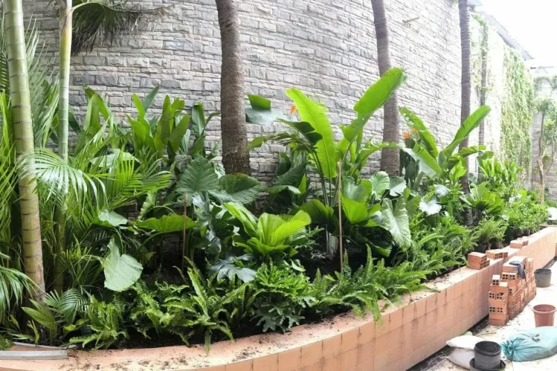 Cà phê sân vườn 9 Bản sao của ee3bec6f1abd90e3c9ac