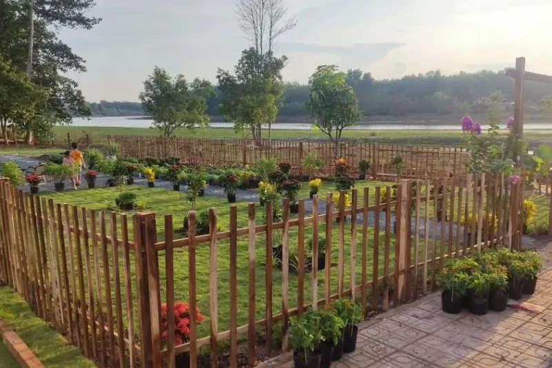 Công viên bờ hồ hớn quản 5 Bản sao của z5456263706482_9832cc75277c6ce3b580b94d15610110