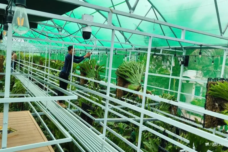 Nhà kính bến tre 6 Bản sao của z6315864058649_f07696c01e01d41e3b0875b45b1d363e